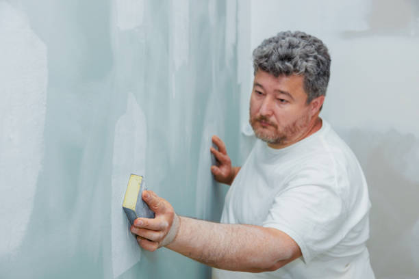 Best Water-Damaged Drywall Repair  in Lorton, VA